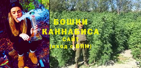 бошки Богданович