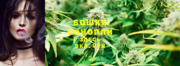 бошки Богданович