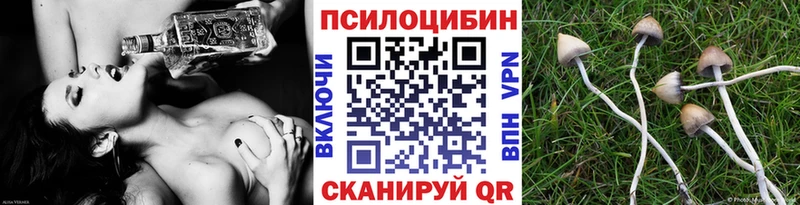 Псилоцибиновые грибы ЛСД  сайты даркнета Telegram  Северская  где купить наркоту 